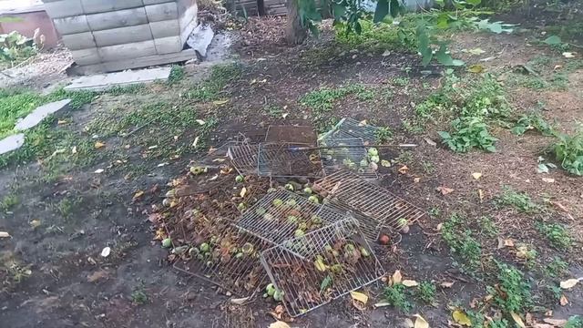 Вот чем занимаюсь по прохладце и жаре.