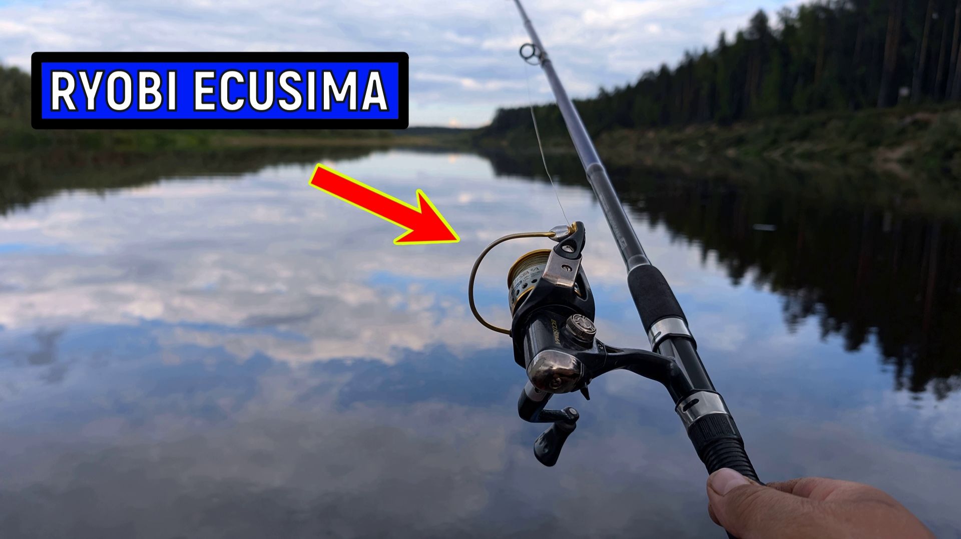 Ryobi Ecusima 2000Vi  Обзор
