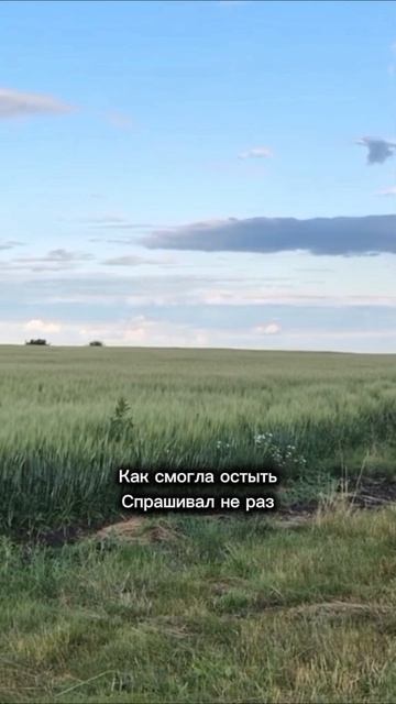 Родные поля вечернее небо и трек который не дает стоять на месте