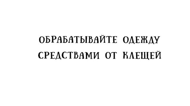 Клещи и др.