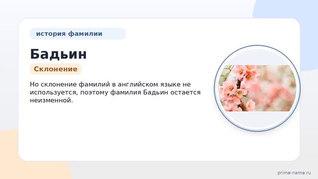 Фамилия Бадьин: происхождение значение и склонение