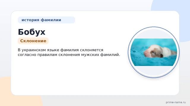Фамилия Бобух: происхождение значение и склонение