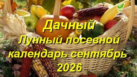Дачный Лунный посевной календарь на сентябрь 2026 года для садоводов и огородников