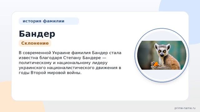 Фамилия Бандер: происхождение значение и склонение