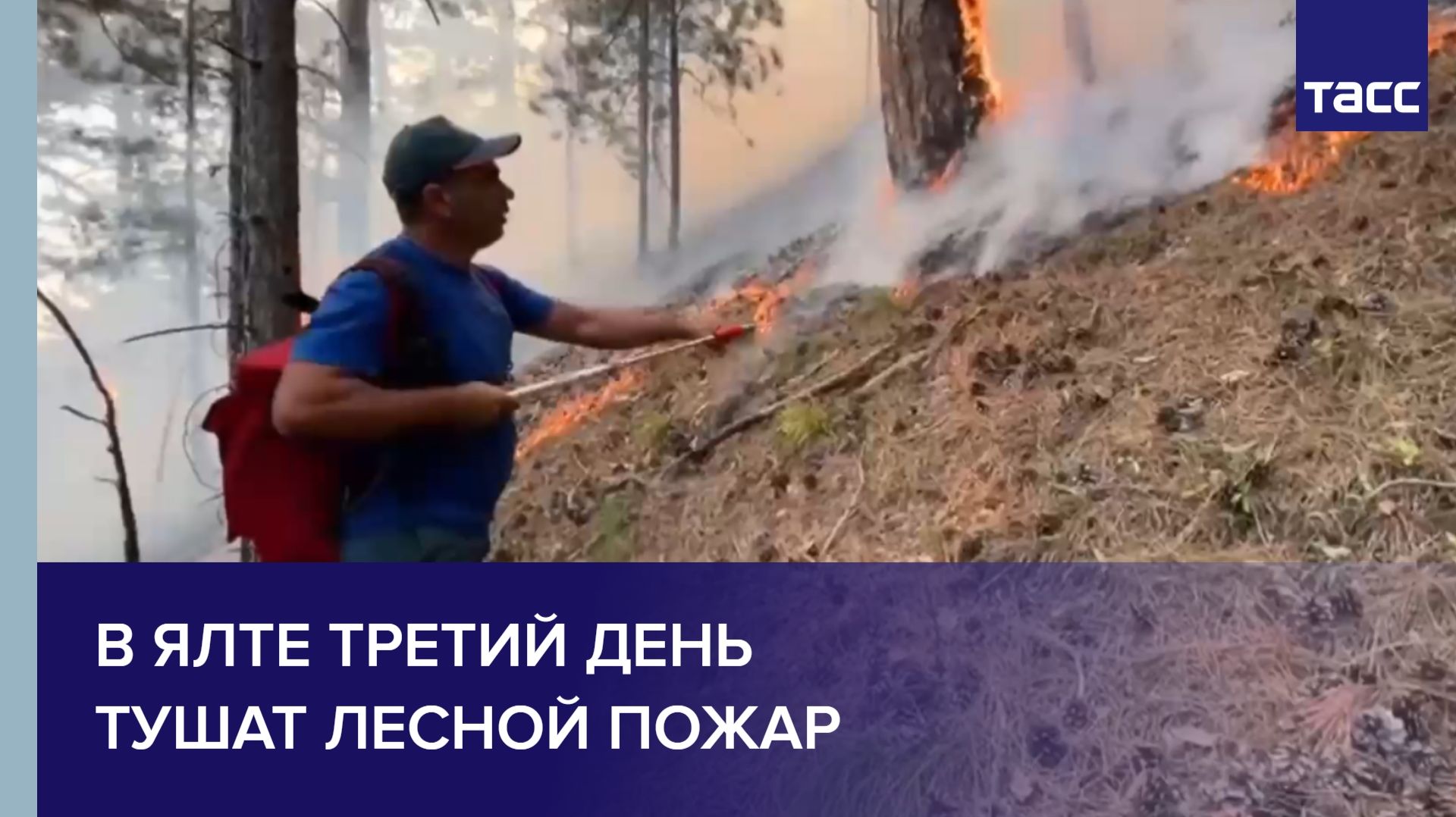 В Ялте третий день тушат лесной пожар