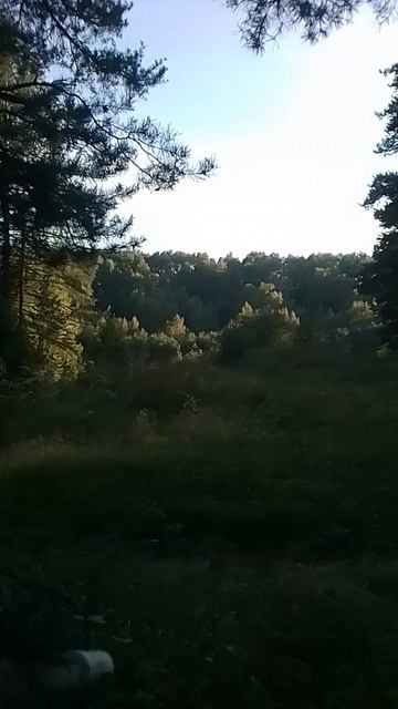 VID_20260820_175931.mp4