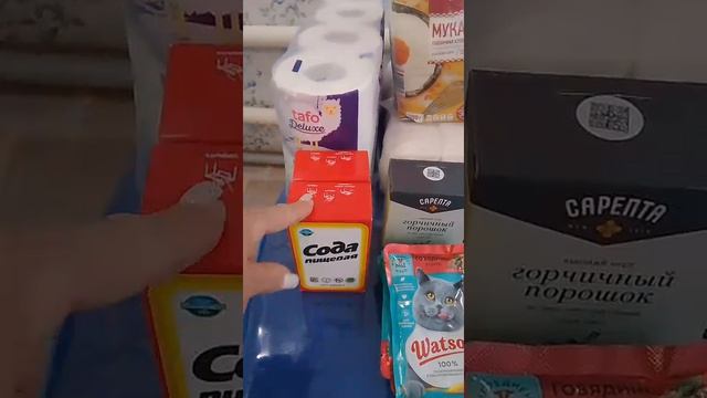 539.mp4