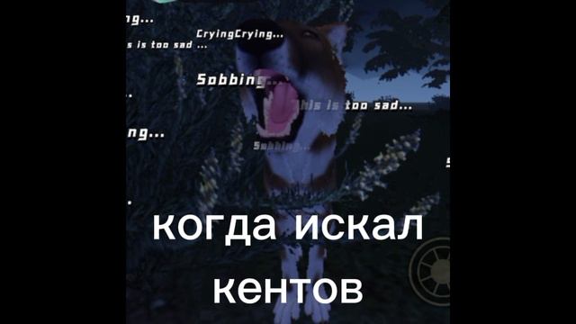 Жиза