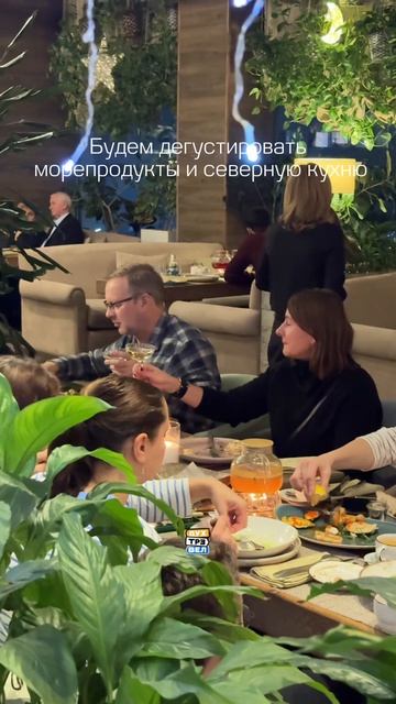 Новый год под огнями северного сияния