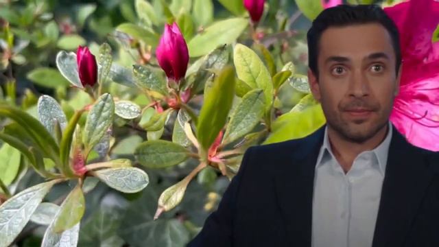 Двухместный номер 2 серия русская озвучка  Çift Kişilik Oda 2 bölüm  2025  Обзор