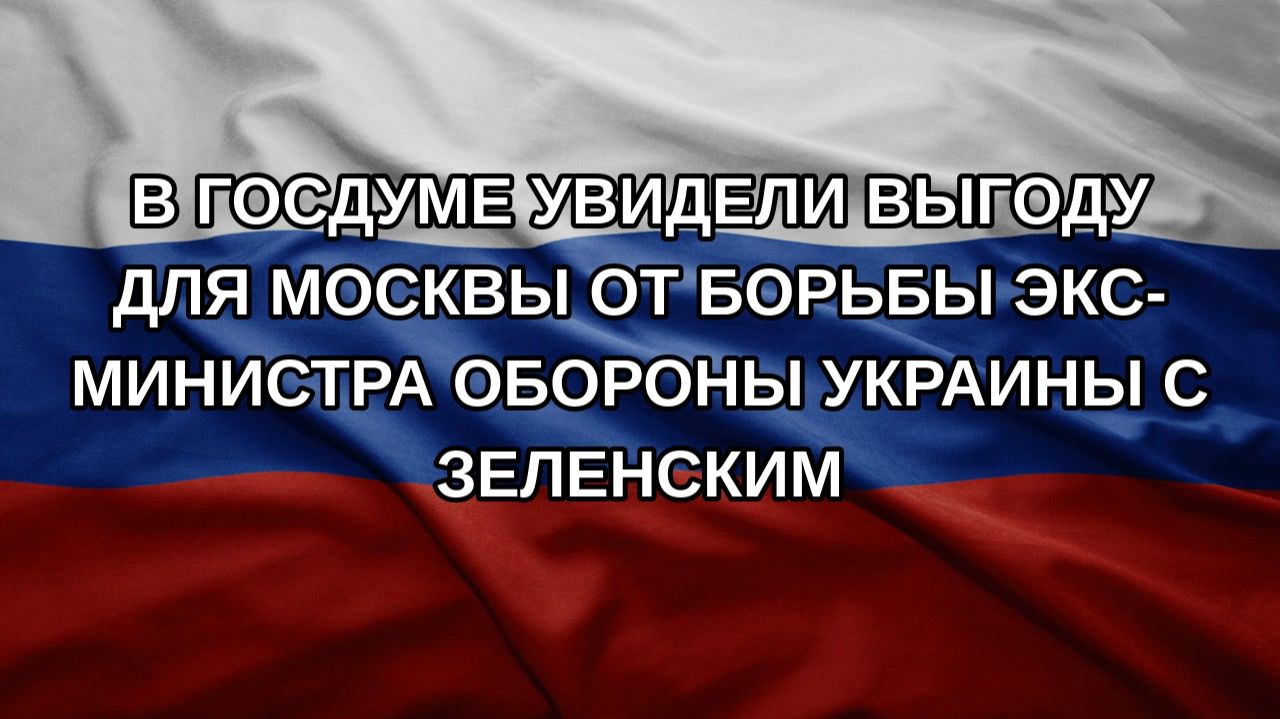 В Госдуме увидели выгоду для Москвы от борьбы экс-министра обороны Украины с Зеленским