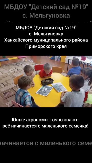 Как вырастить картофель