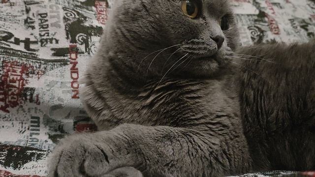 321.mp4