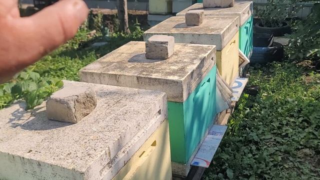 ф.94.как-то так у нас всё на 9.08.2026.