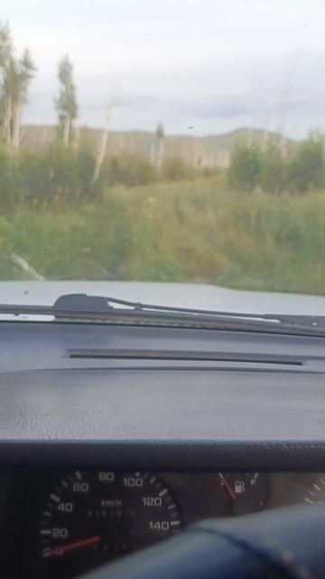 За грибами