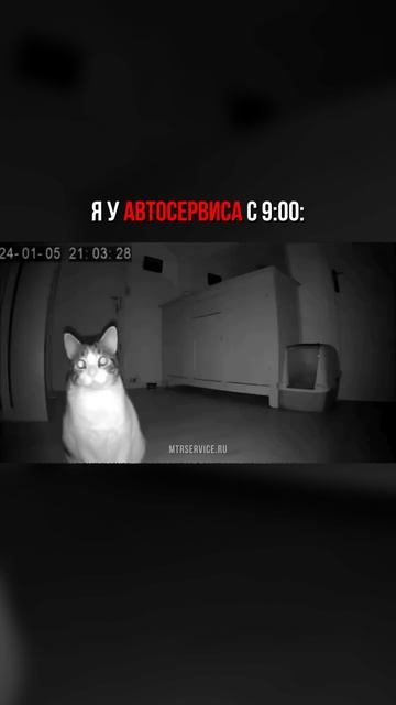 Просто очень не терпится...Записывайтесь на диагностику АКПП! Работаем каждый день.