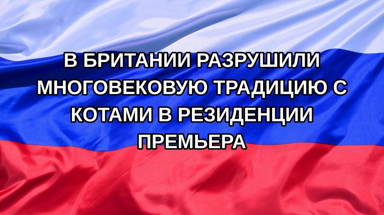 Н. РФ В Британии разрушили многовековую традицию с котами в резиденции премьера