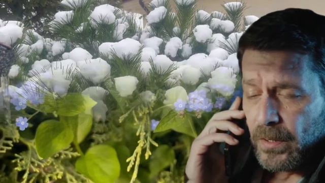 Невеста 202 серия русская озвучка  Турецкий сериал 2024  Обзор
