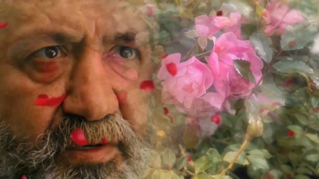 Преемник зов предков 22 серия русская озвучка Турецкий сериал 2025 Halef Köklerin Çağrısı. Обзор