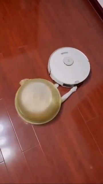1000003371.mp4