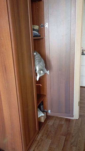 Опять залезла