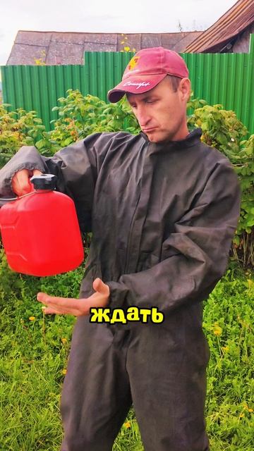 Сказ о том как я траву косил.