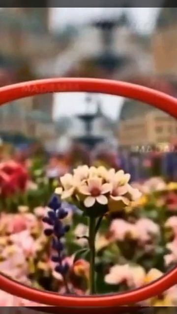 Видео шедевры ИИ