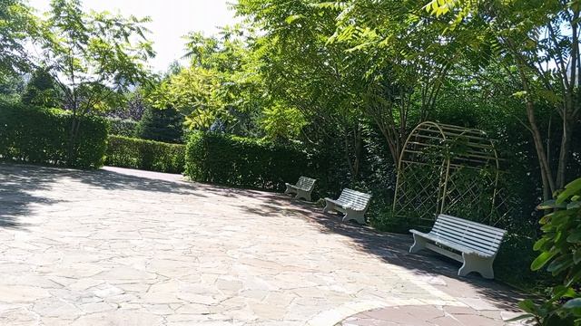 Такая красота кругом//ходить одно удовольствие 😌