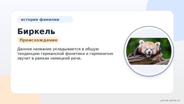 Фамилия Биркель: происхождение значение и склонение