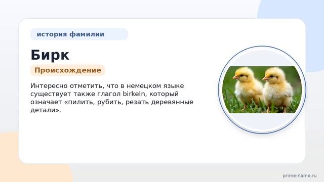 Фамилия Бирк: происхождение значение и склонение
