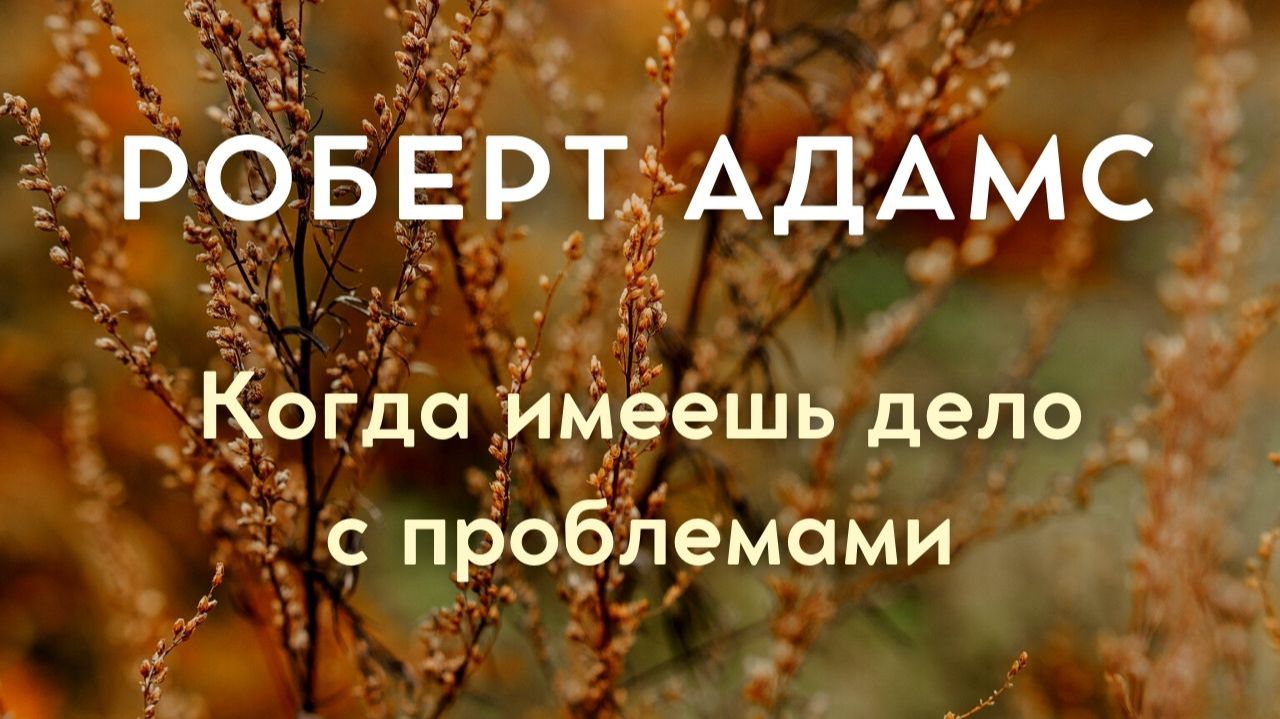 Когда имеешь дело с проблемами. Роберт Адамс. Живой голос
