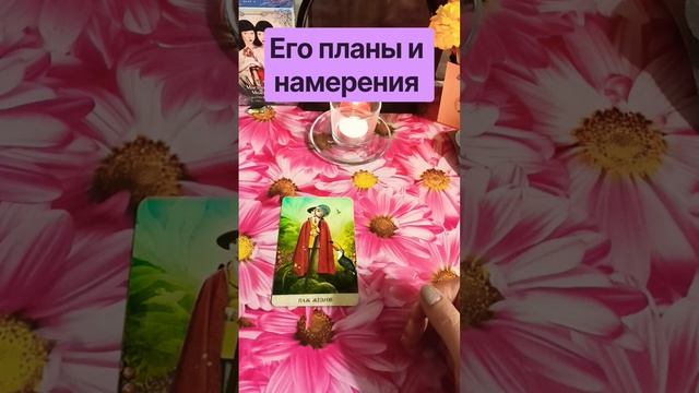 Его планы и намерения