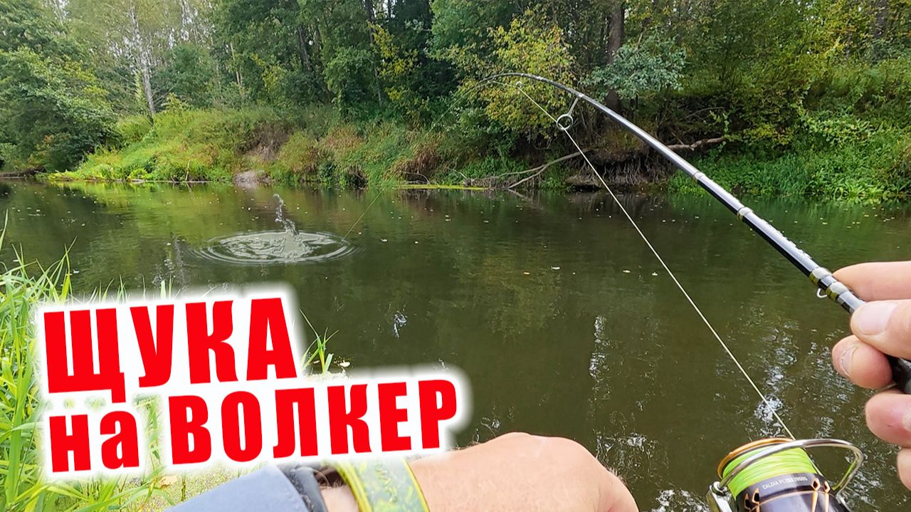 НЕЗАБЫВАЕМЫЕ ПОКЛЁВКИ!!! РЫБАЛКА НА ВОЛКЕРУОКЕР!!! Спиннинг CF Strike 672 ULT 1.5-7гр.