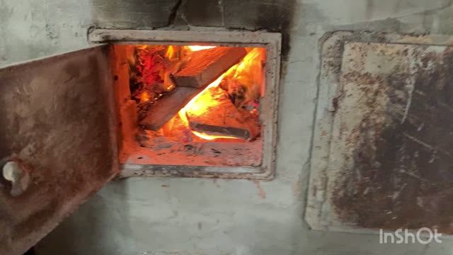 Дожди. Мое домашнее чтение. Пузыреплодник.