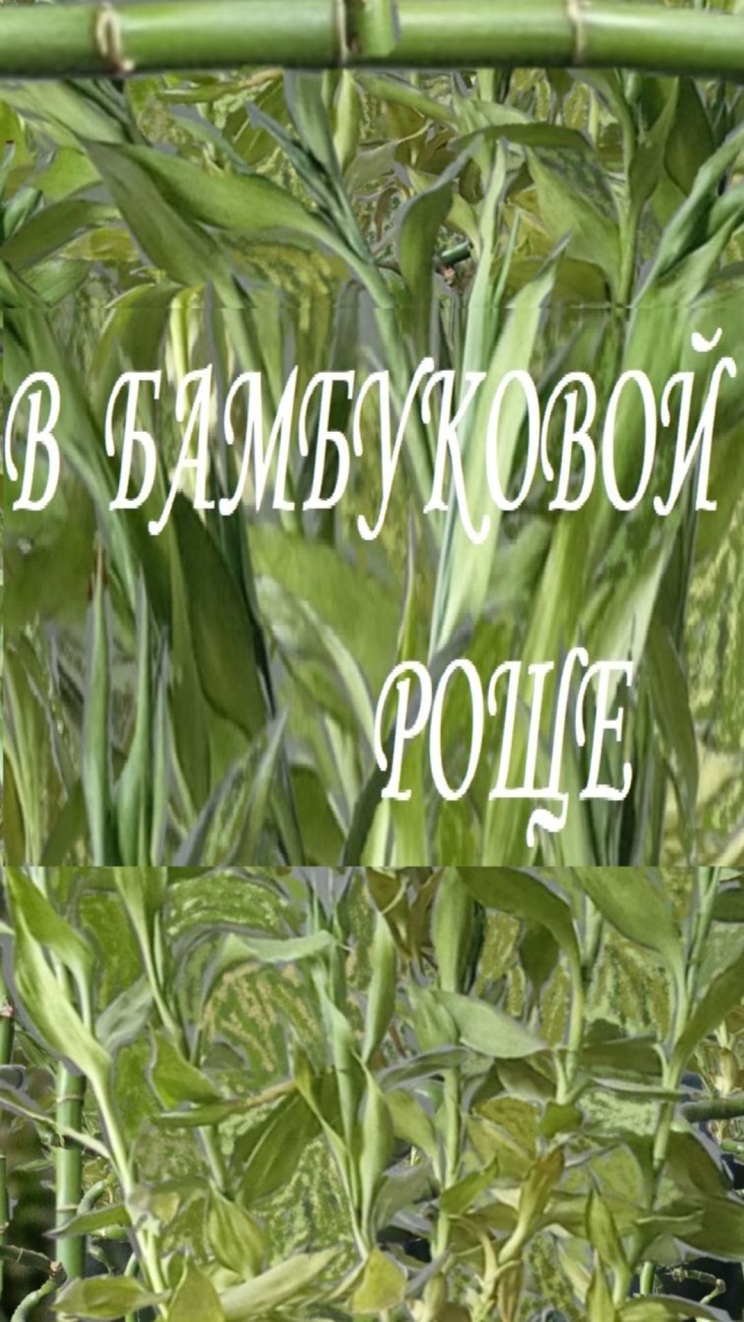Сергей Знаменский - В бамбуковой роще клип