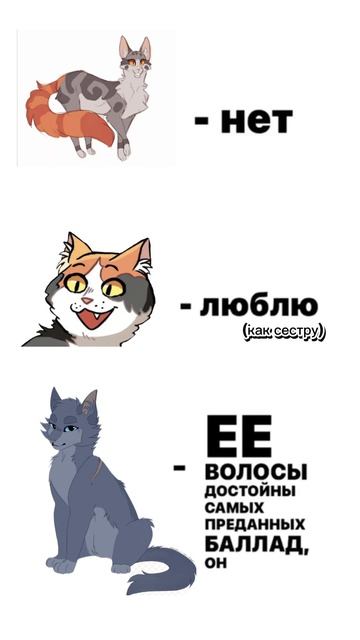 мнение дроздовика о синей звезде