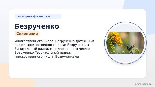 Фамилия Безрученко: происхождение значение и склонение