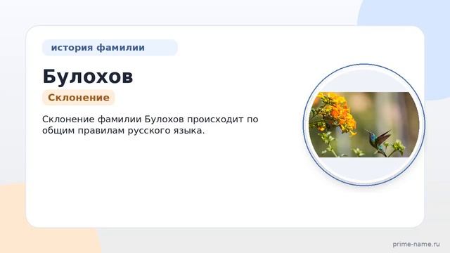 Фамилия Булохов: происхождение значение и склонение