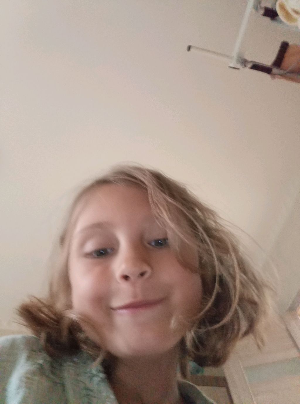 л