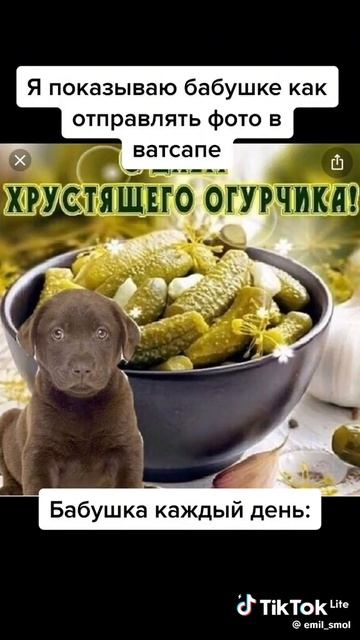 Ахвхахпххввхаххпахвхв