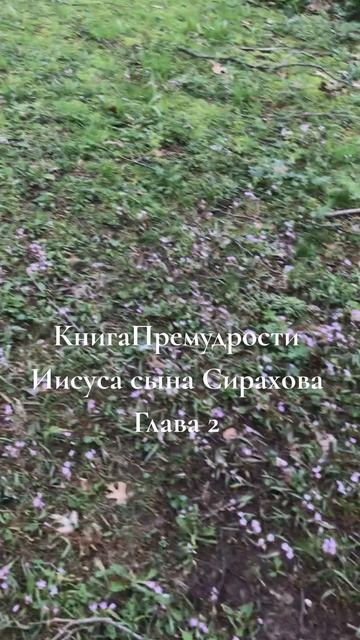 Книга Премудрости Иисуса сына Страхова Глава 2 Copy
