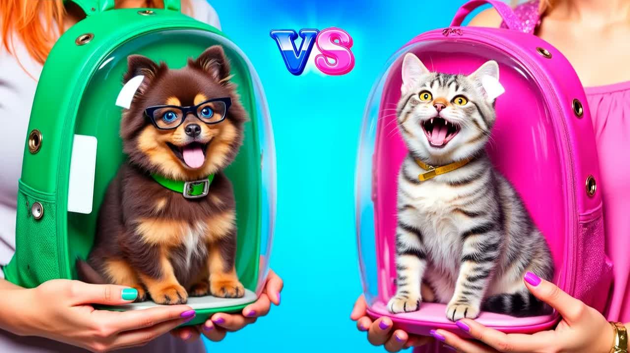 Собака vs кошка! Как ухаживать за домашними питомцами