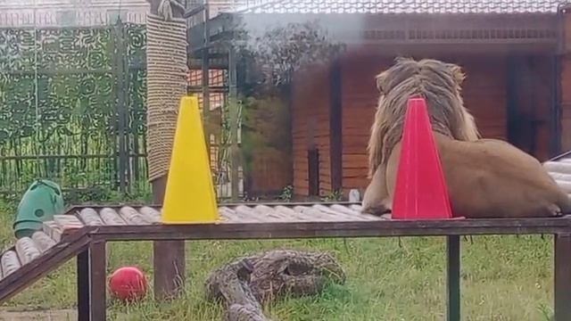 POWF3941_20.08.2026-видео от Ивана