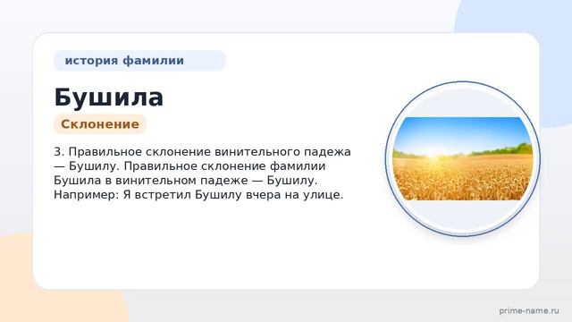 Фамилия Бушила: происхождение значение и склонение