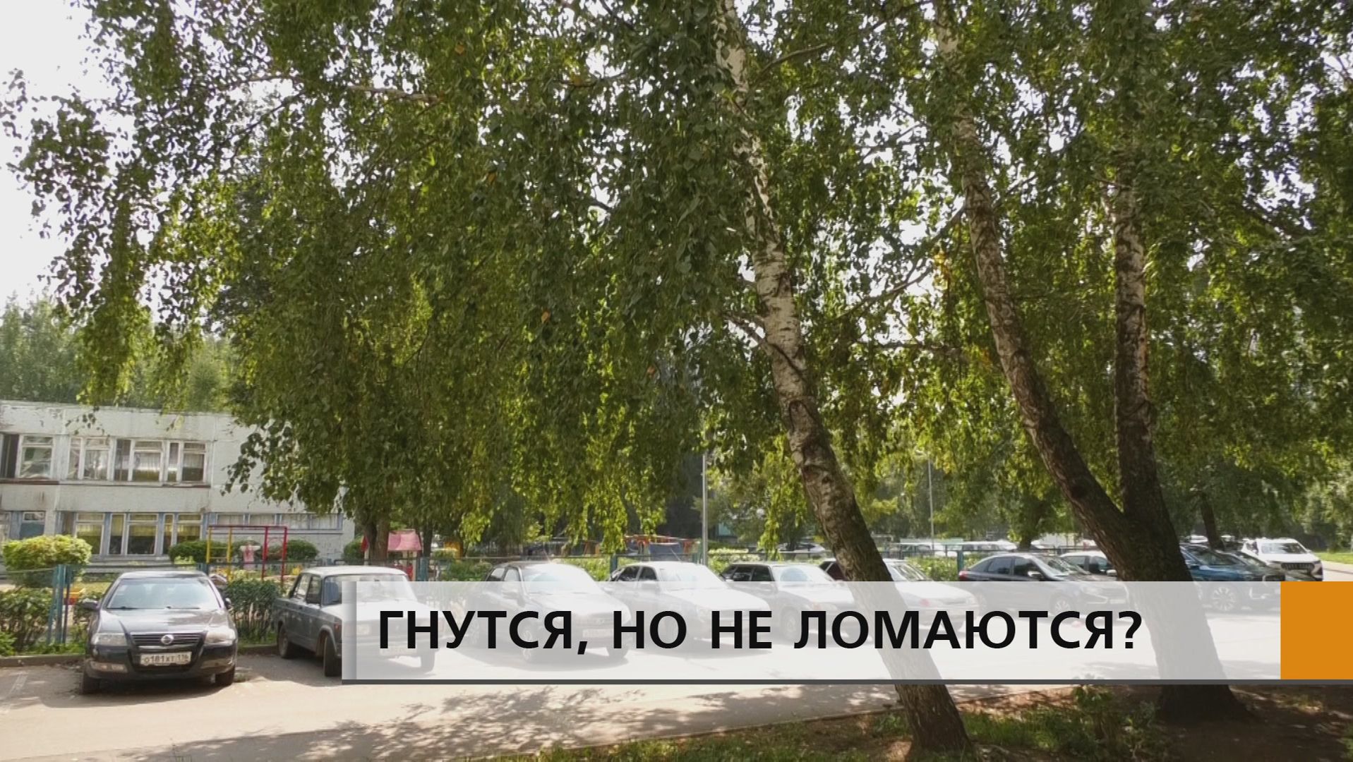 Во время апрельской бури в семнадцатом комплексе Нового Города упало сразу несколько деревьев