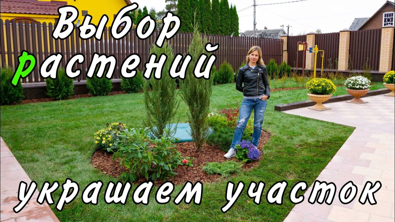 Ландшафтный дизайн участка: газон и подбор растений