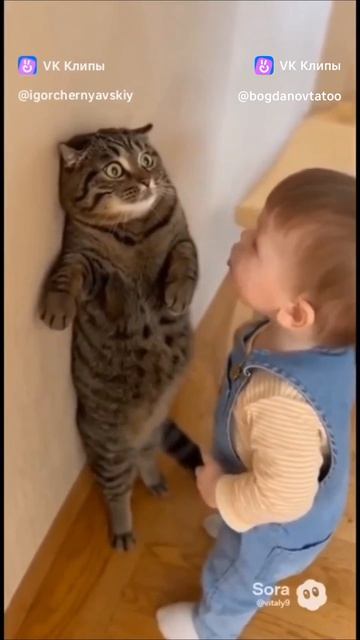если не подпишешься будет так.mp4