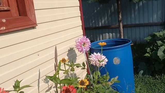 жизнь на крайнем севереавгуст в самом разгаре