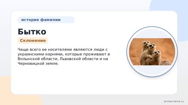 Фамилия Бытко: происхождение, значение и склонение