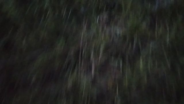 VID_20260821_192921.mp4